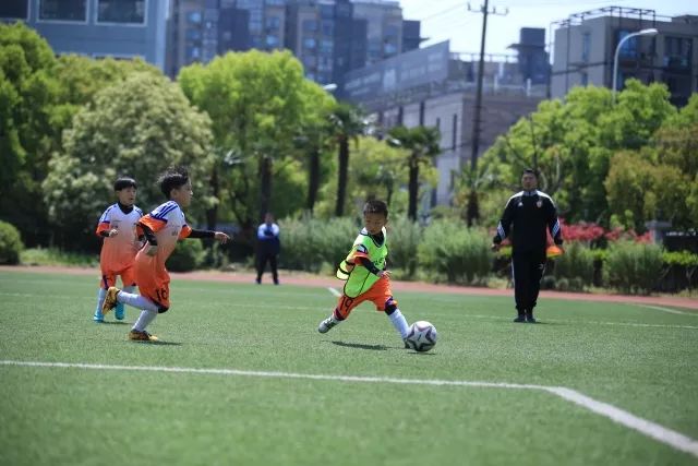 拜仁提前四轮卫冕德甲 向“六冠王”迈进